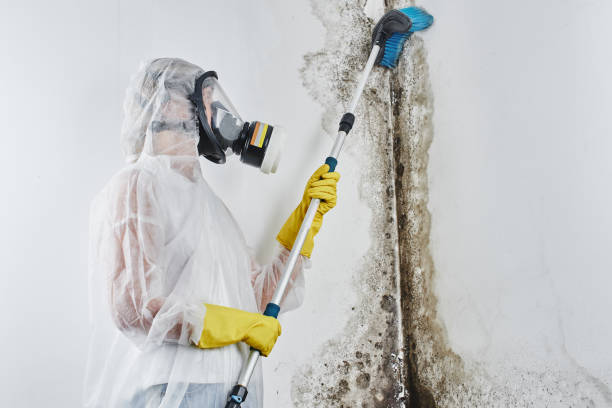 Water Damage Restoration in Evanston, WY